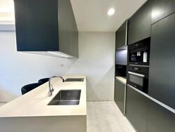 Cairnhill Nine (D9), Apartment #503464011